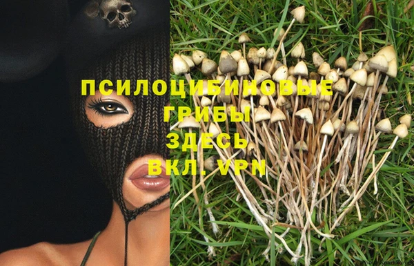 бошки Верхний Тагил