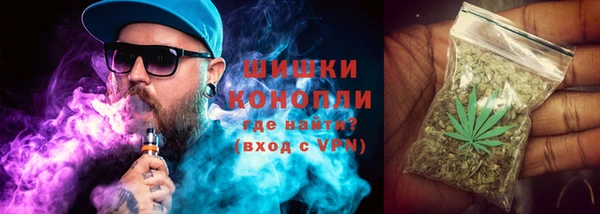 гашик Мегион