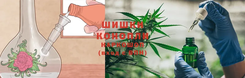 цена   Кукмор  Канабис Ganja 